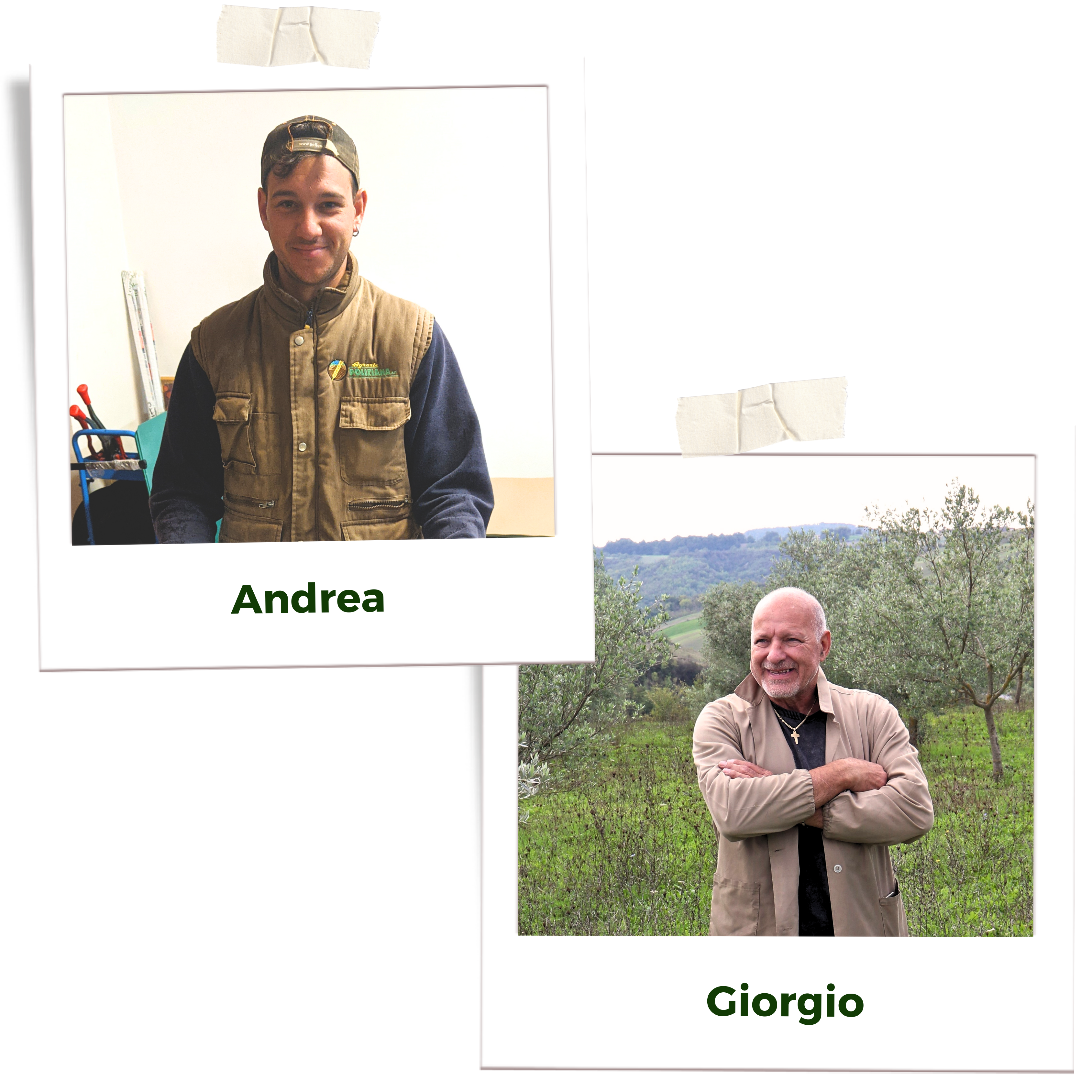 Billede af bonden Andrea og Giorgio, Mont.Olio olivenolie 