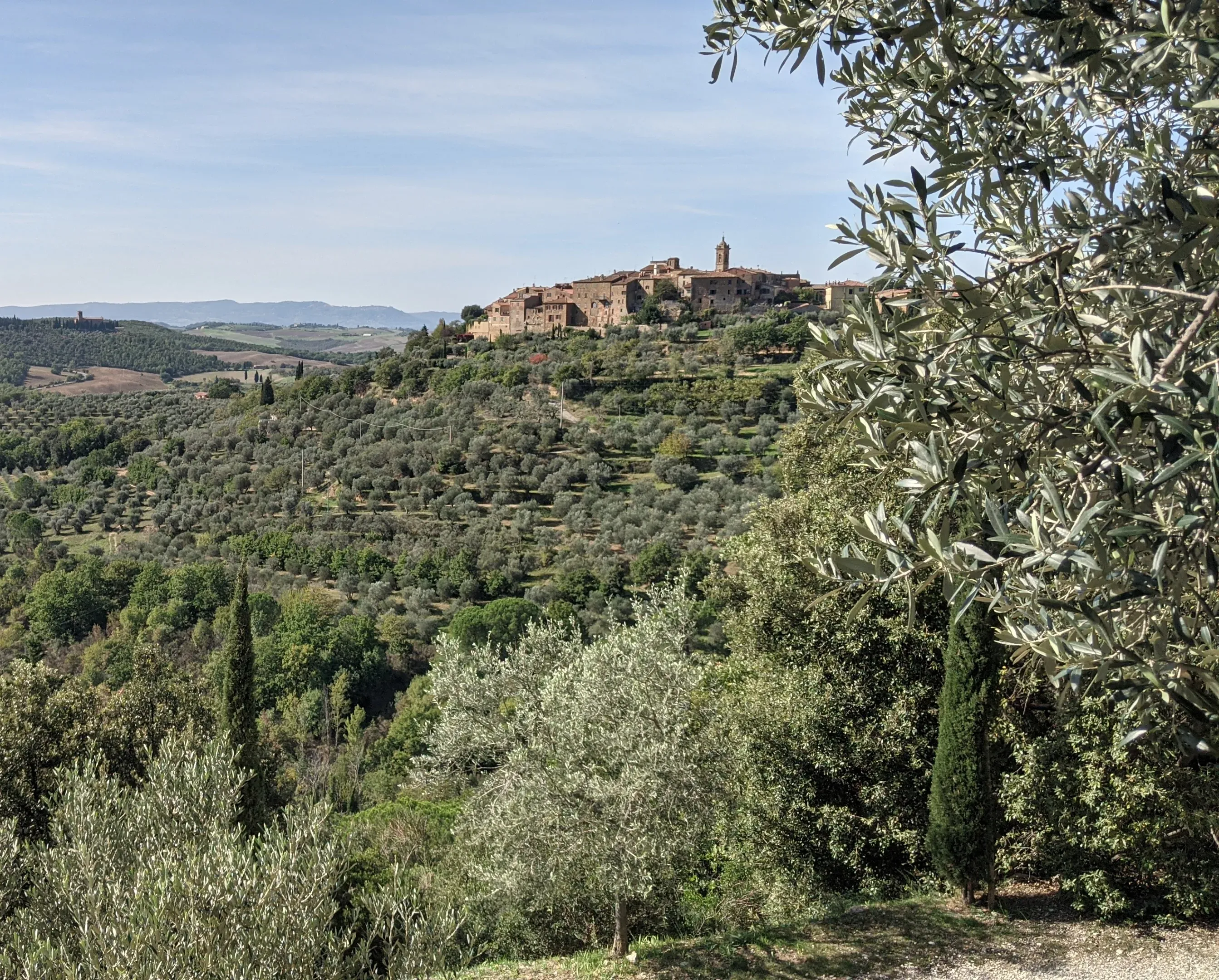 Mont.Olio italiensk olivenolie