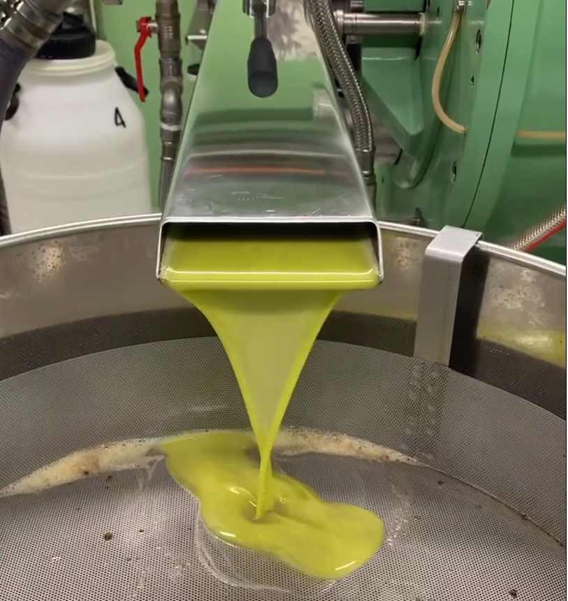 Mont.Olio billede af den friske olivenolie